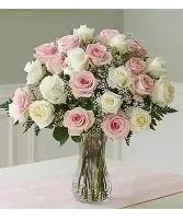 Only for you! Only for you!