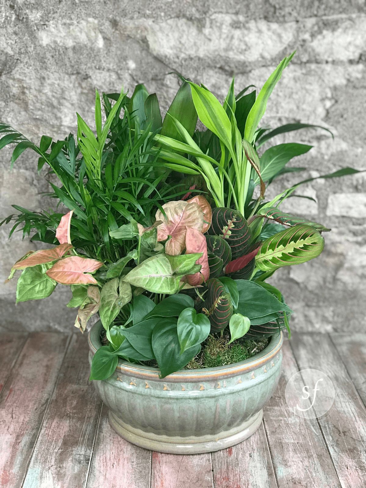 Dish Garden