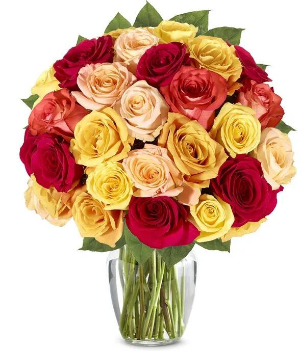 Fall Mixed Roses