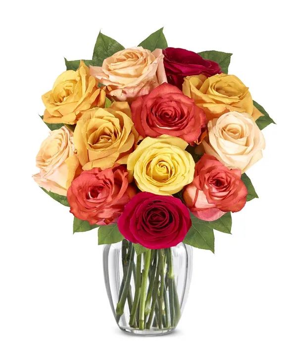 Fall Mixed Roses