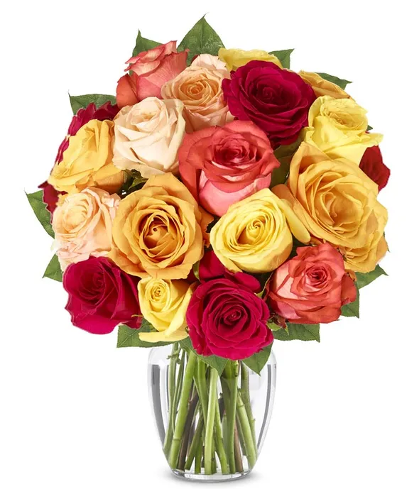 Fall Mixed Roses Fall Mixed Roses