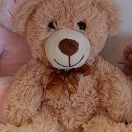 Stuffed Animal Stuffed Animal image