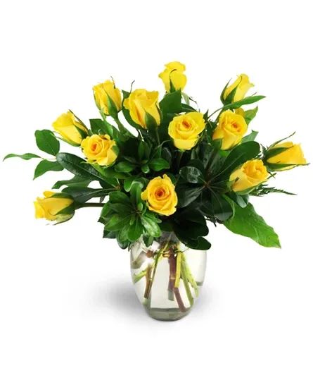 Yellow Rose Delight roses