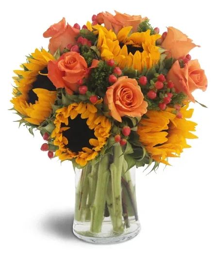 Sweet Harvest Sunflowers