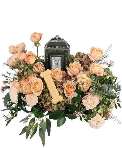 Faithful Treasure Pet Memorial (Urn and Toy Not Included) Faithful Treasure Pet Memorial (Urn and Toy Not Included)