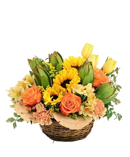 Brightly Joyful Basket Arrangement Brightly Joyful Basket Arrangement