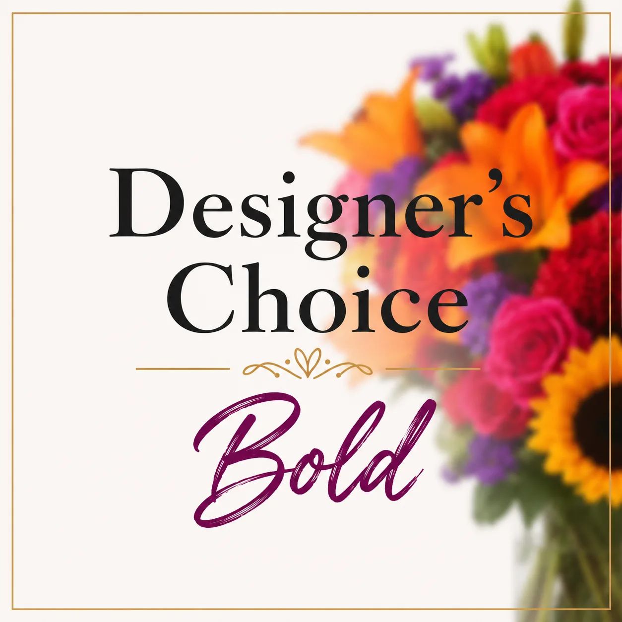 Designer's Choice - Bold