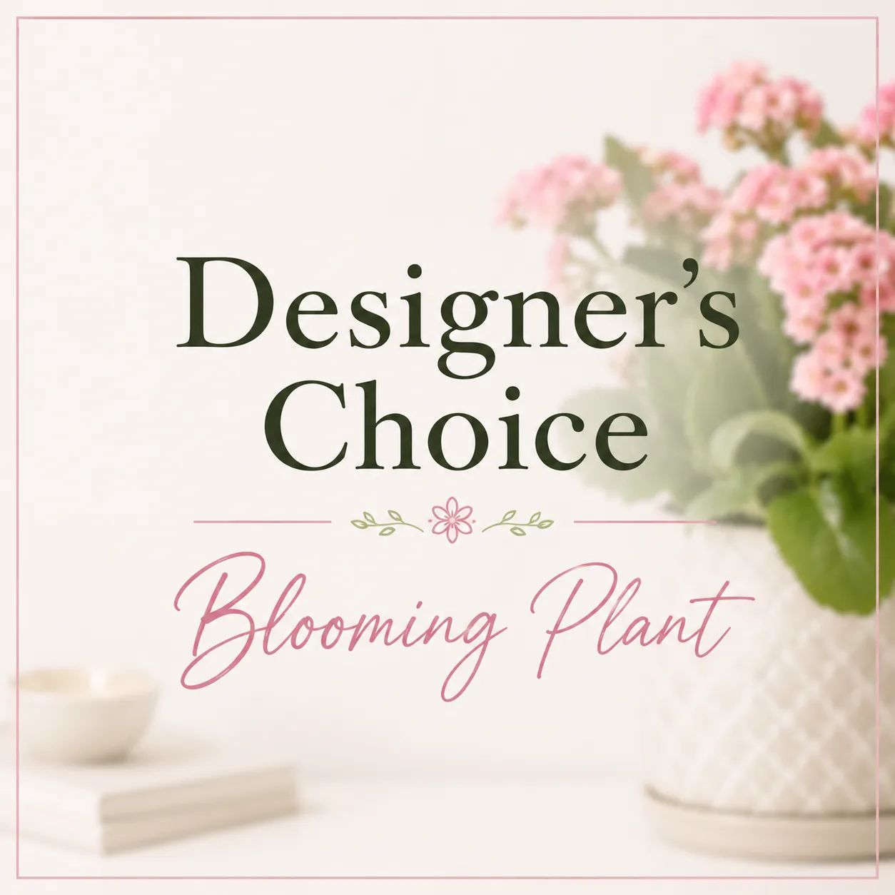 Designer's Choice - Blooming Plant