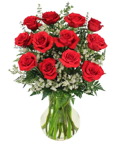 Red Roses and Wispy Whites Classic Dozen Roses Red Roses and Wispy Whites Classic Dozen Roses