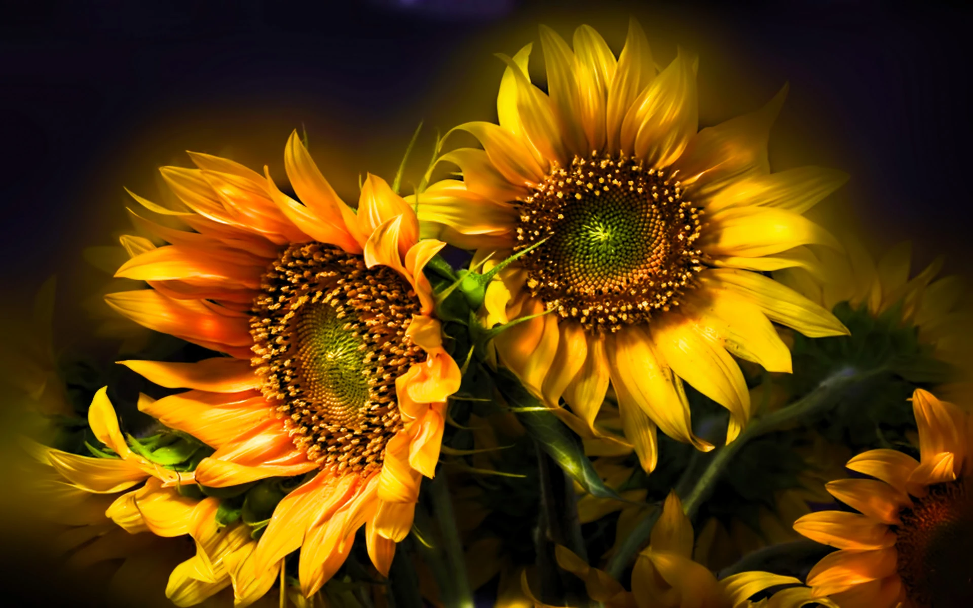 Flower shop image Flower shop image