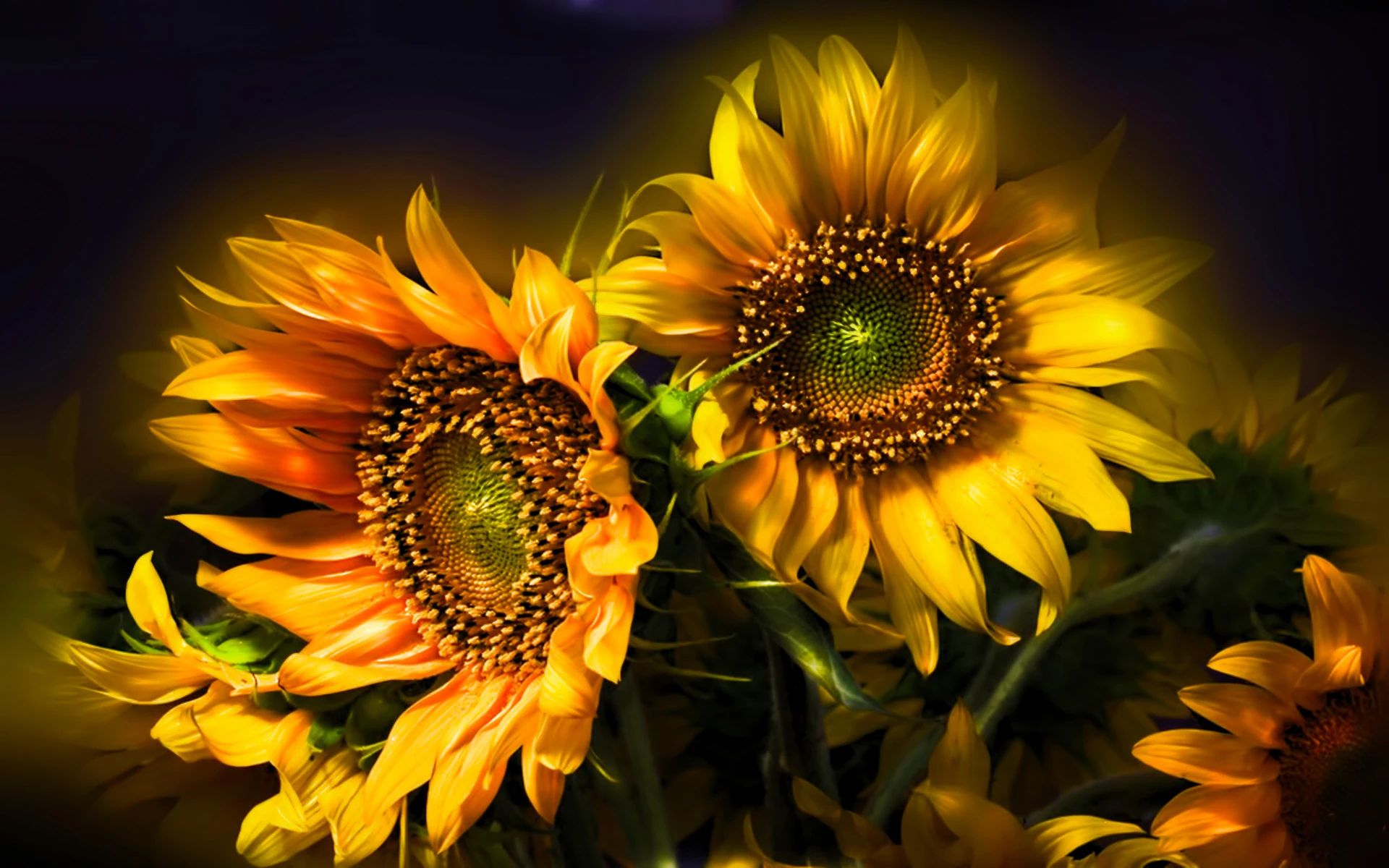 Flower shop image