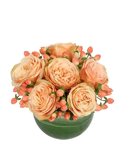 Cozy Coral Rose Arrangement Cozy Coral Rose Arrangement