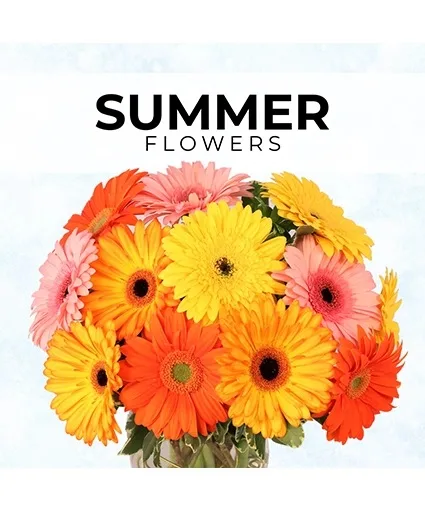 Summer Florist’s Pick Designer's Choice Summer Florist’s Pick Designer's Choice