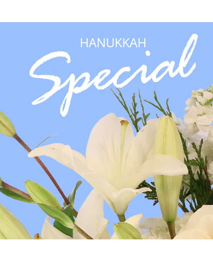 Hanukkah Special Designer's Choice Hanukkah Special Designer's Choice