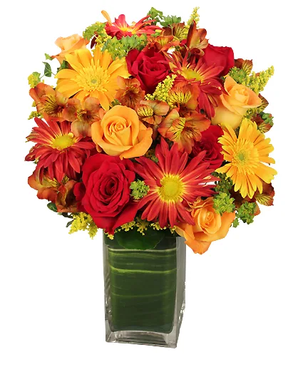 Colorful Canvas Arrangement Colorful Canvas Arrangement