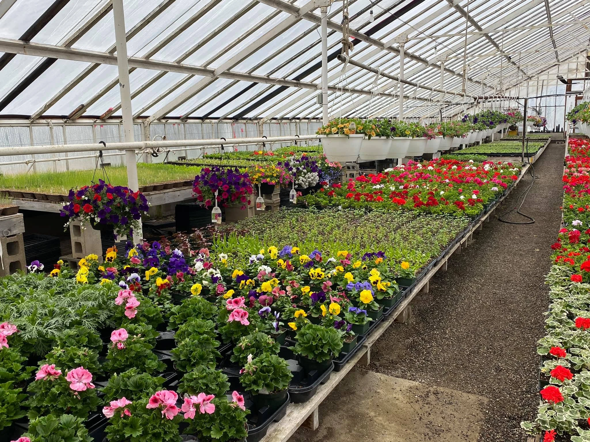 Flower shop image Flower shop image