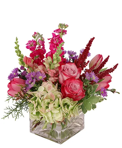 Lively & Luscious Vase Arrangement Lively & Luscious Vase Arrangement