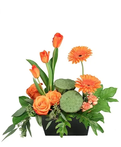 Orange Elegance Floral Design Orange Elegance Floral Design