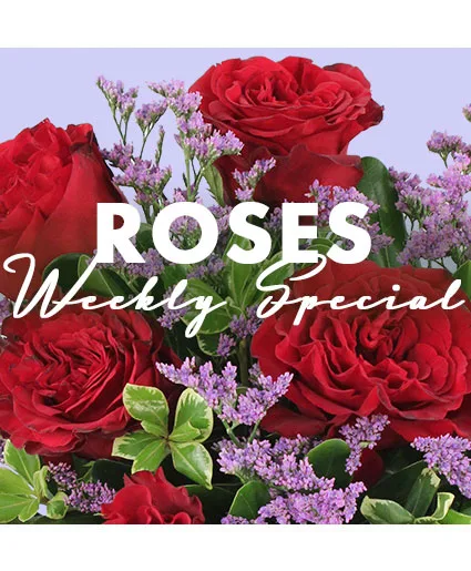 Rose Special Designer's Choice Rose Special Designer's Choice