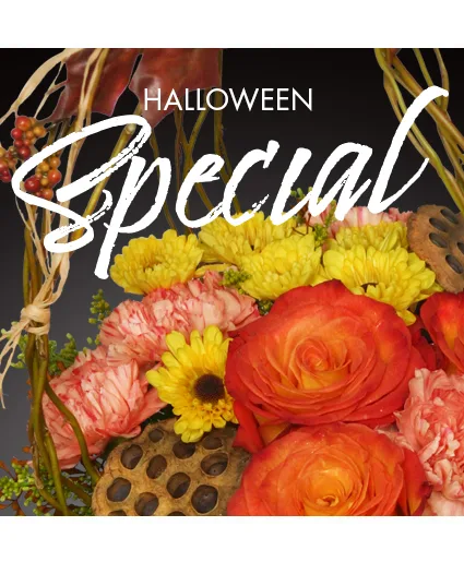 Halloween Special Designer's Choice Halloween Special Designer's Choice