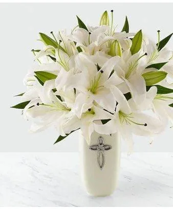 Faithful Blessing Lily Faithful Blessing Lily