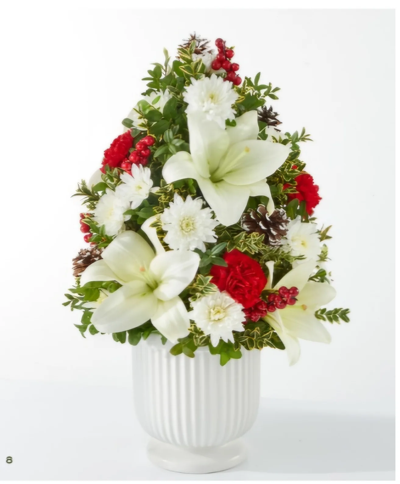 White boxwood tree Boxwood. White boxwood tree Boxwood.