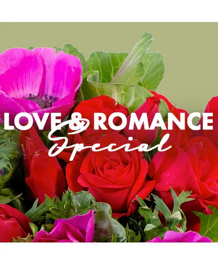 Love & Romance Special Designer's Choice Love & Romance Special Designer's Choice