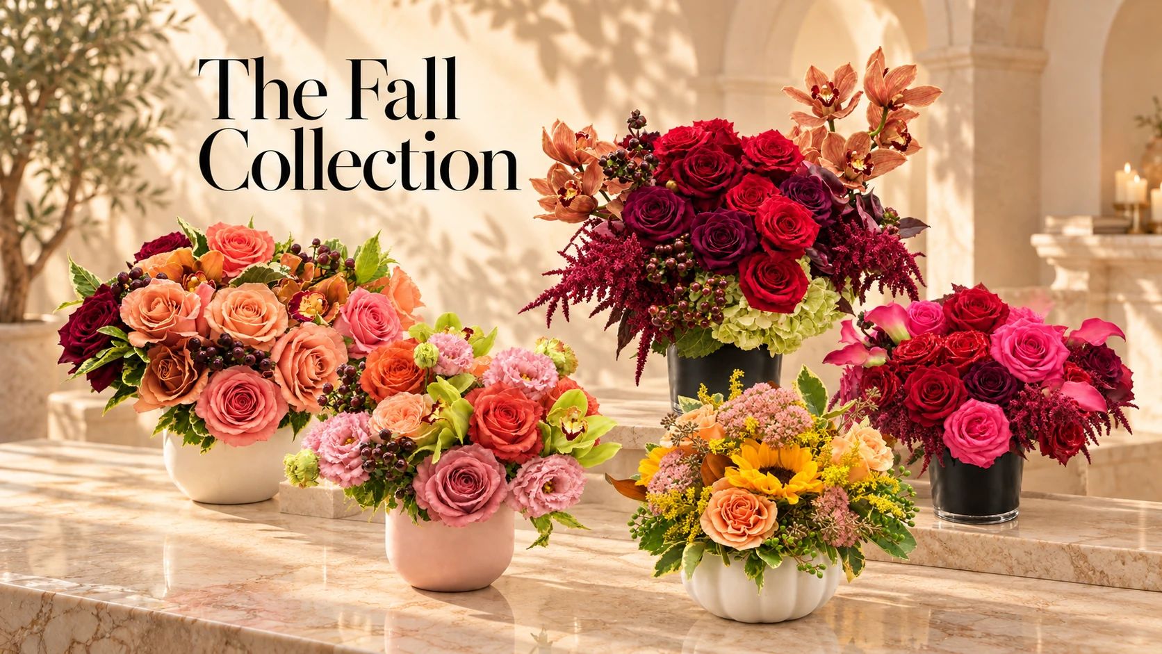 collection image