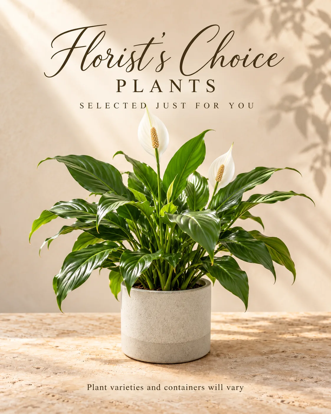 Designer's Choice Plants Designer's Choice Plants