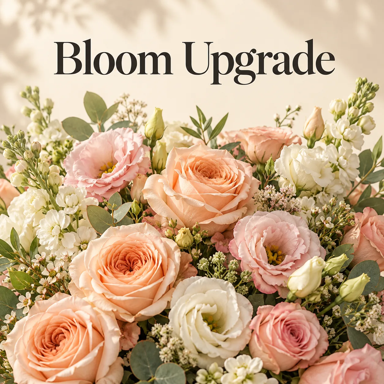 1000021656.png Bloom Upgrade image