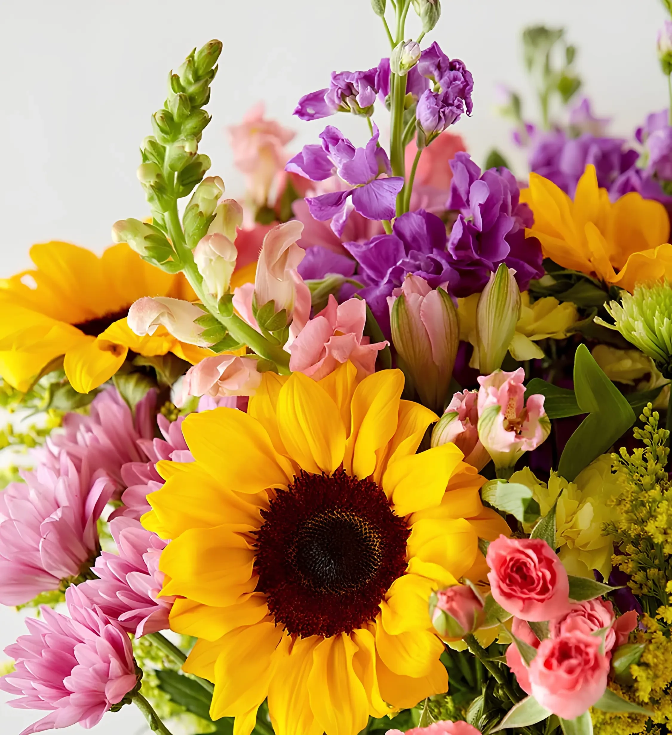 Featured flowers Featured flowers
