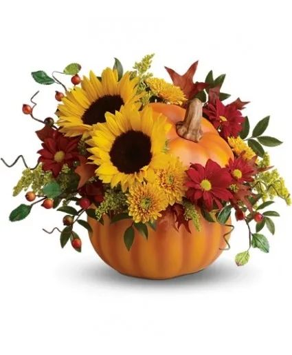 Sunshine in a Pumpkin