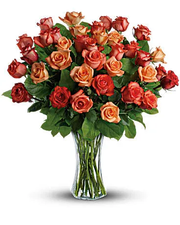 Splendid Sunrise Bouquet of 24 Orange Roses Splendid Sunrise Bouquet of 24 Orange Roses