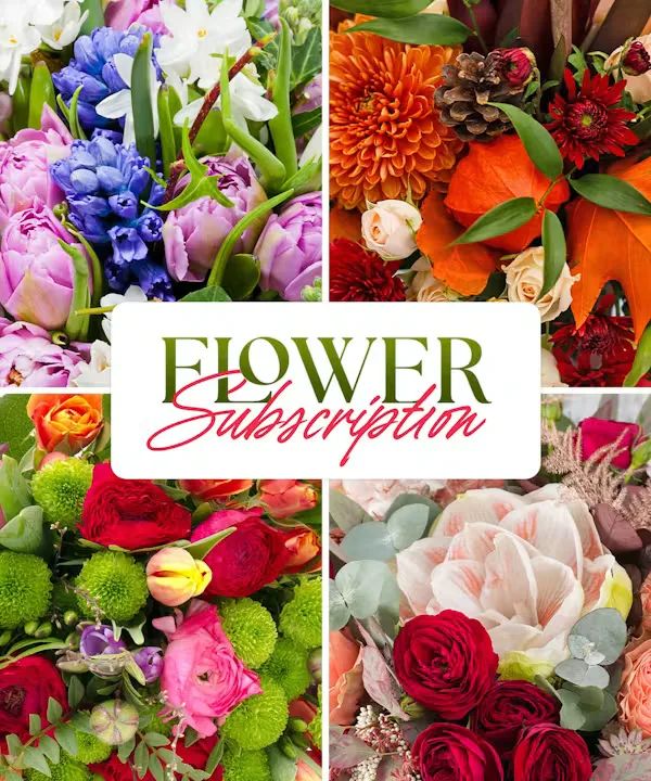 Designer's Choice Flower Subscription