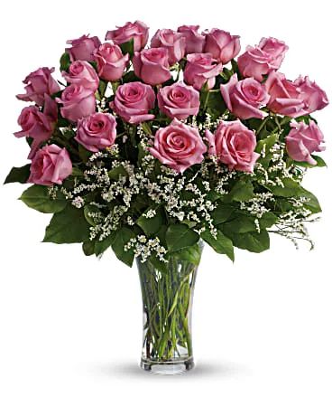 24 Perfect Pink Roses