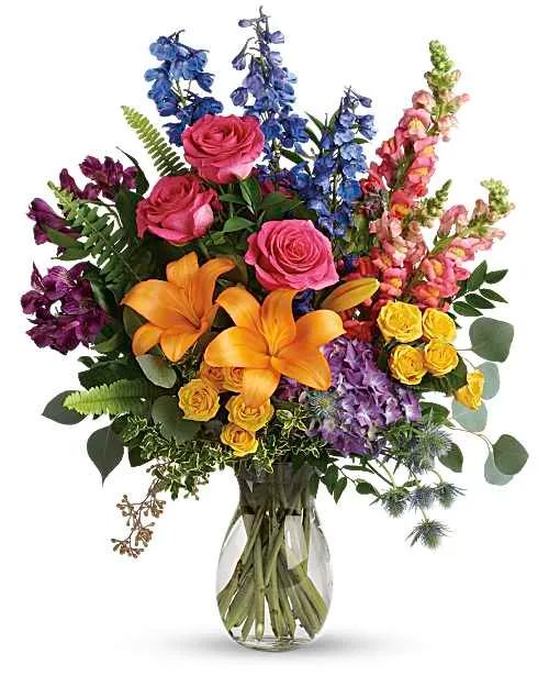 Explosion of Colors