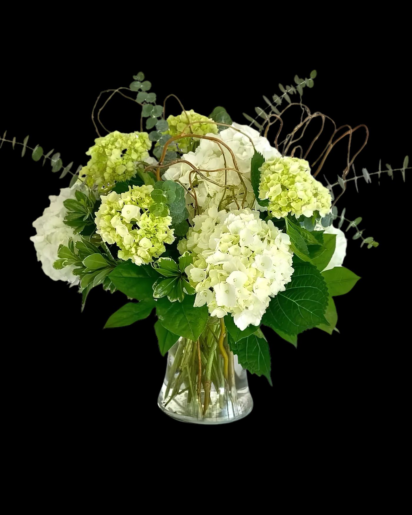 Hydrangea Harmony