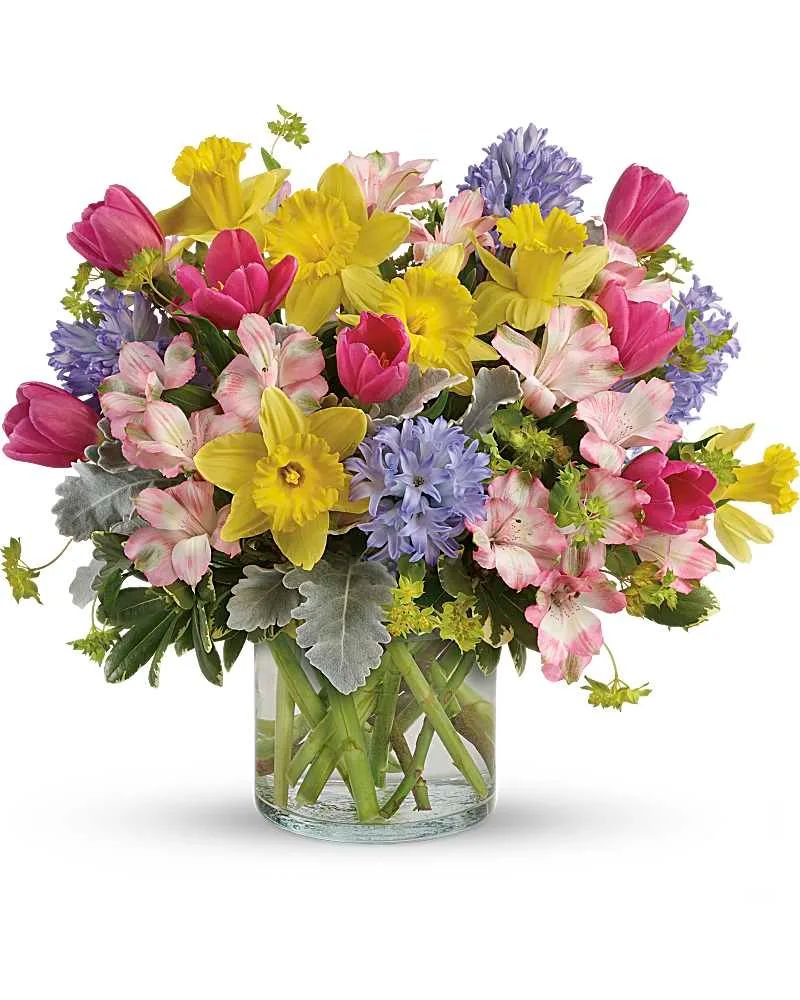 Welcome Spring