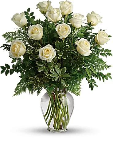 Dozen White Roses Dozen White Roses