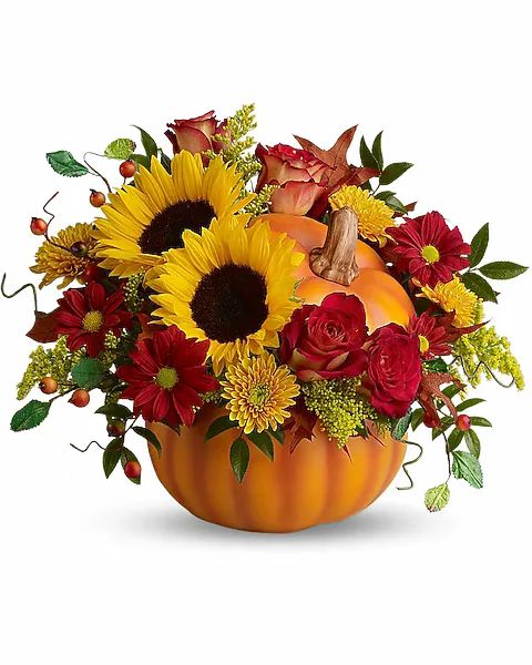 Sunshine in a Pumpkin