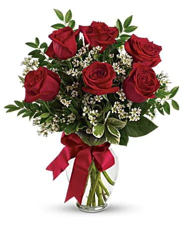Half Dozen Red Roses Half Dozen Red Roses