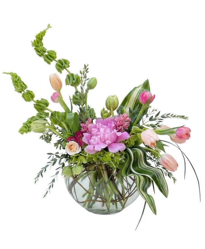 Spring Dreams