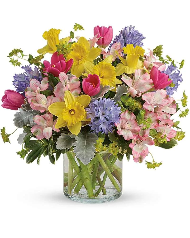 Welcome Spring