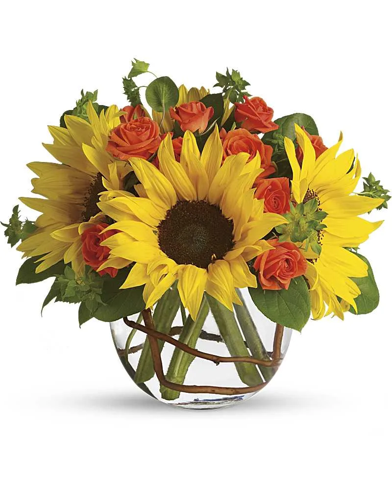 Season of Sunflowers Season of Sunflowers