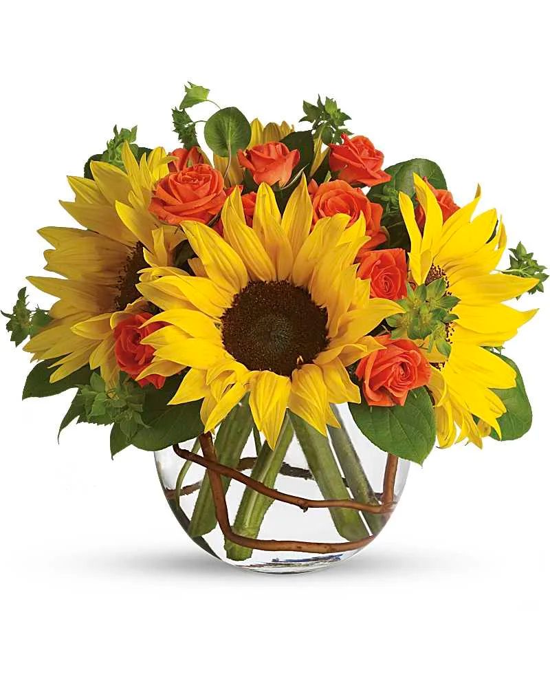 Season of Sunflowers