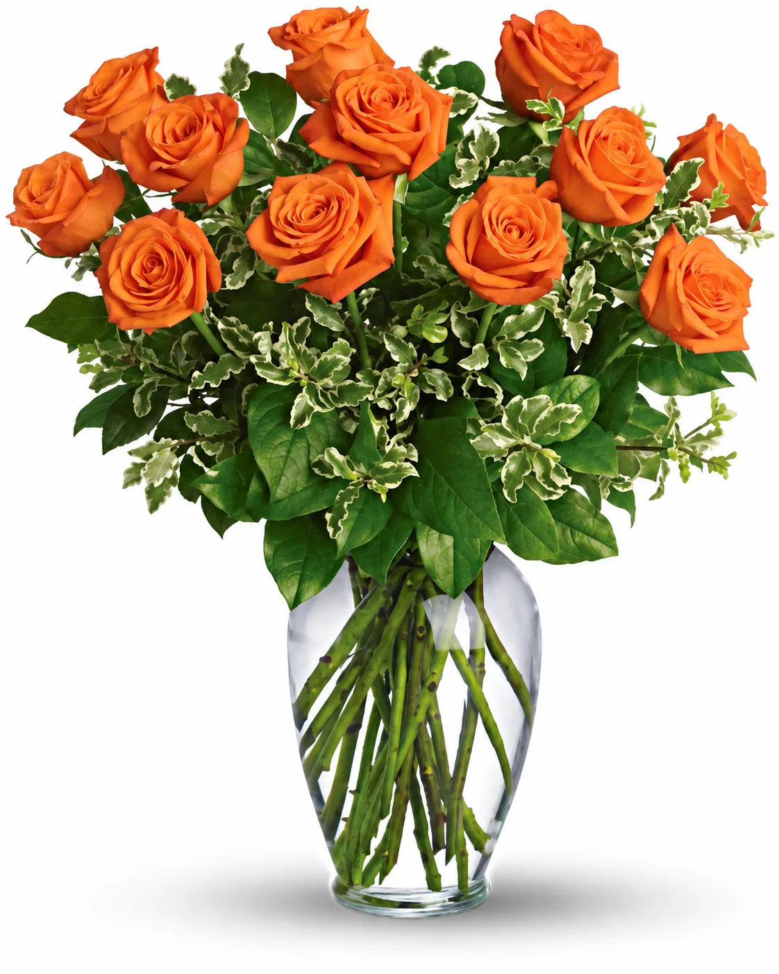 Classic Dozen Orange Roses Classic Dozen Orange Roses