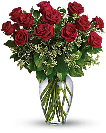 Classic Dozen Red Roses Classic Dozen Red Roses