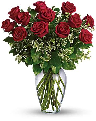 Classic Dozen Red Roses