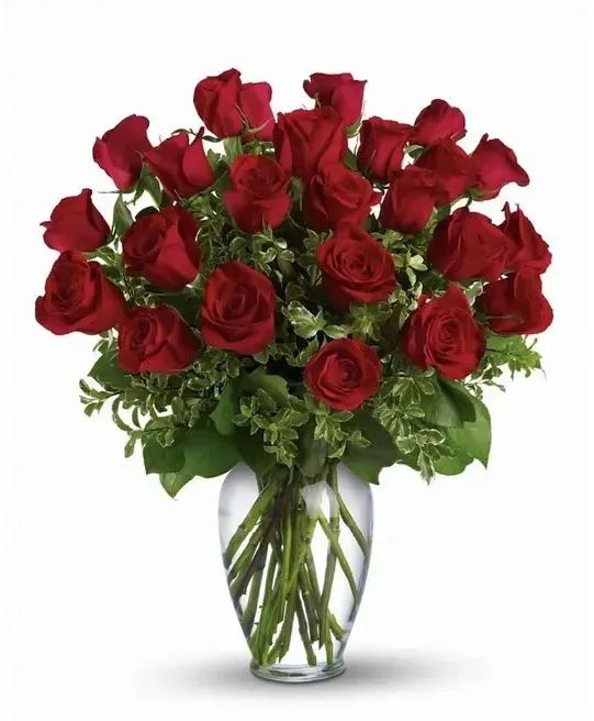 24 Red Rose Arrangement