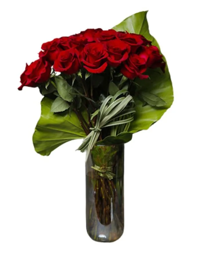 Modern Romance Roses Modern Romance Roses